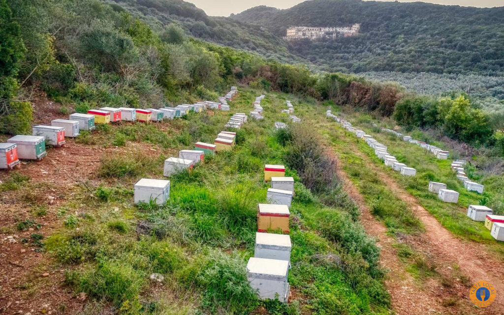 From Nectar to Honey - Gastronomy Tours 27 - Gastronomy Tours